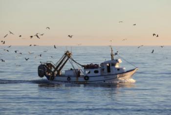 Pesca: pubblicate graduatorie Feamp, contributi per un milione e mezzo di euro