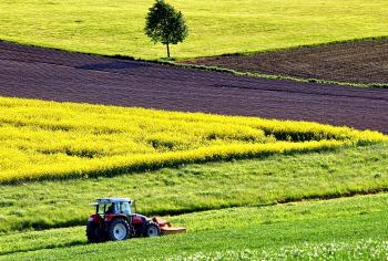 Agricoltura: prorogata al 31 dicembre la validità dei tesserini per acquisto/utilizzo di prodotti fitosanitari