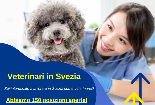 Lavoro: Eures Abruzzo, incontri per reclutamento veterinari in Svezia
