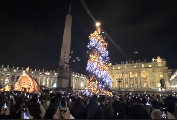 Inaugurato a Piazza San Pietro l'albero di Natale donato dall'Abruzzo